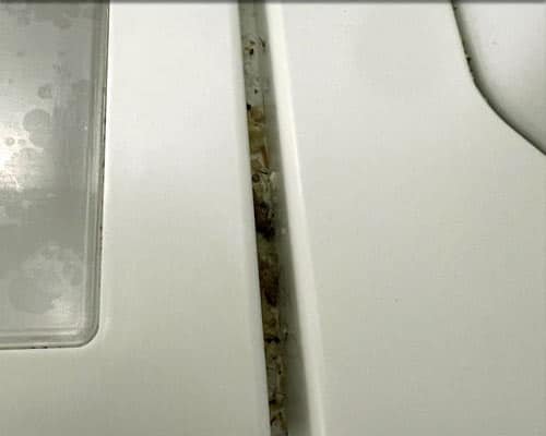 Refrigerator Seals before cleaning